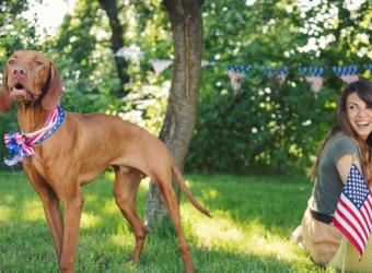 4 Ways to Spend the 4th of July with Your Furry Friends